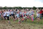 Girls under-13s Start Fitness North Eastern Harriers League, Wrekenton, Gateshead. Photo:  David T. Hewitson/Sports for All Pics